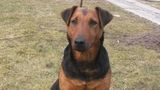 Frieda 01.08.2008 - 08.01.2016